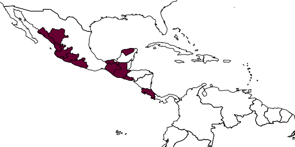map of Zacremnops ekchuah     (Sharkey, 1988)